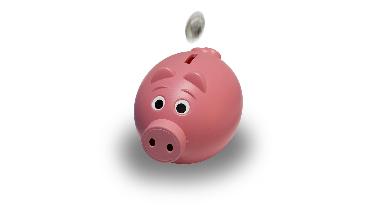 piggy bank, coin, pink-1056615.jpg